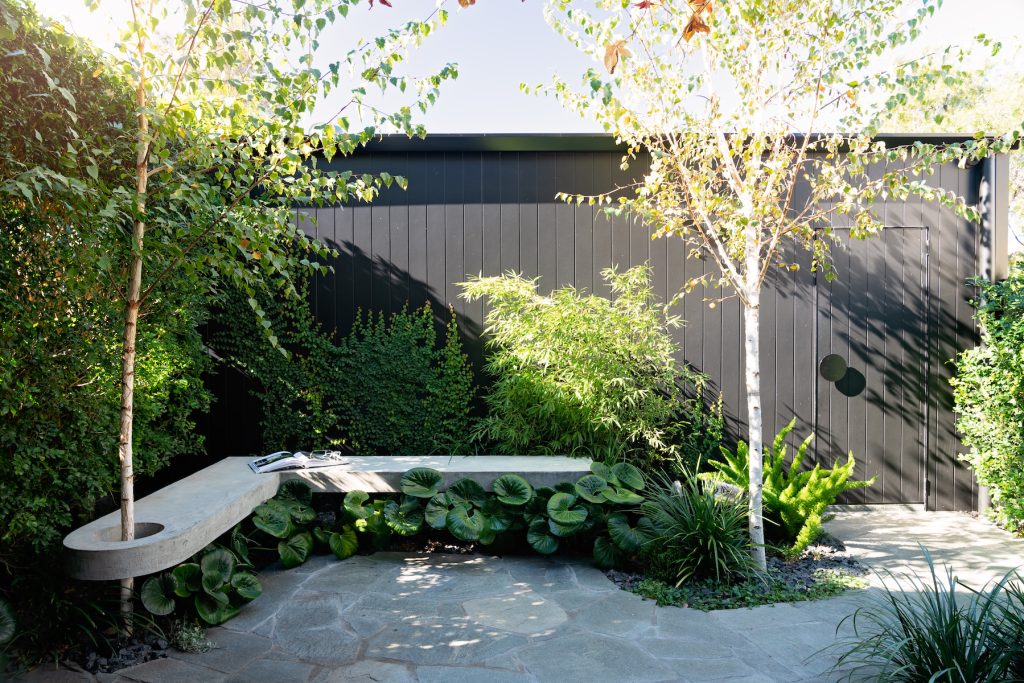 Somerton Park LT Design Landscape Construction Pools