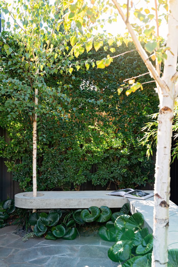 Somerton Park LT Design Landscape Construction Pools