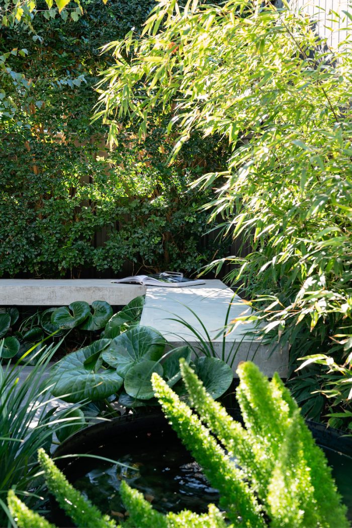 Somerton Park LT Design Landscape Construction Pools